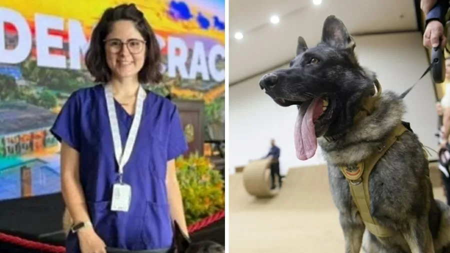 Veterinária atacada por cão no Senado morre após quatro dias internada